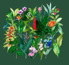 ボタニカルガーデン-グリーン