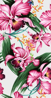 カトレア-アイボリー