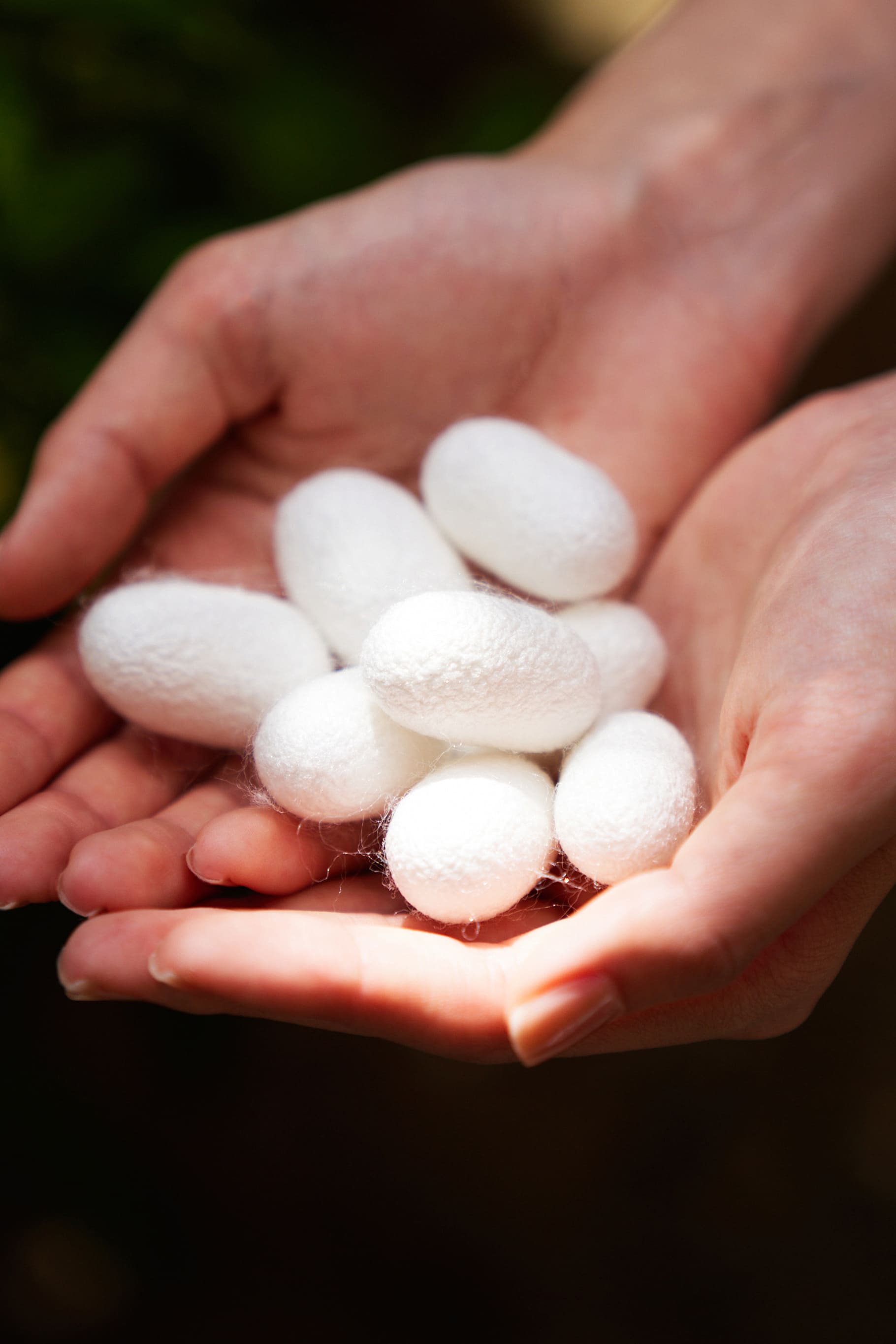 KIMONO GOWN Ultimate